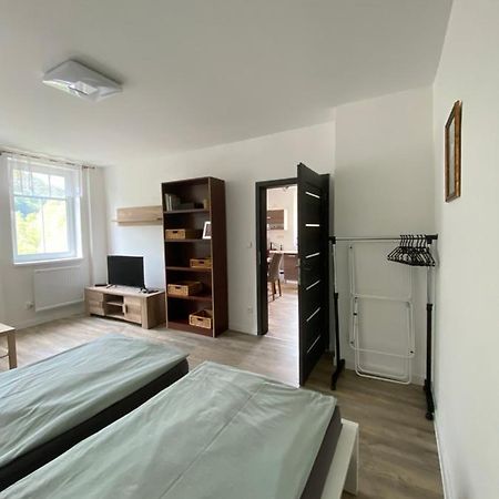 Apartmany U Viaduktu 46 อุสตีนัดลาแบม ภายนอก รูปภาพ