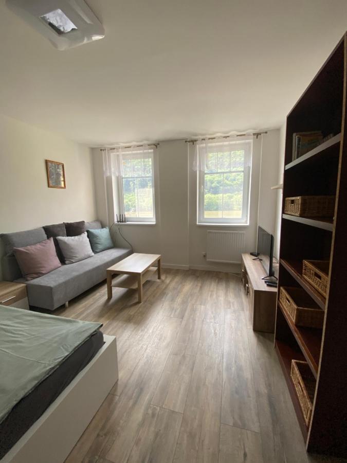 Apartmany U Viaduktu 46 อุสตีนัดลาแบม ภายนอก รูปภาพ